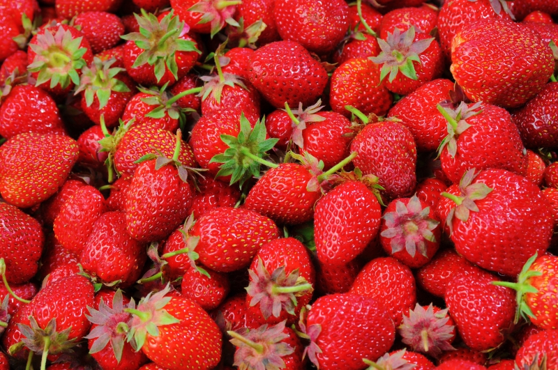 primeur-HYERES-min_strawberries-528791